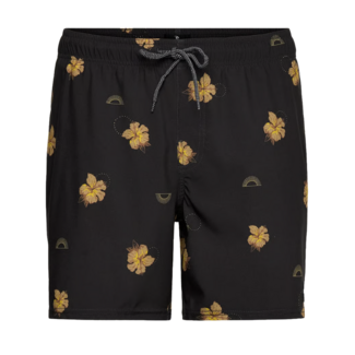 Rip Curl Sessions Volley Swim Short | Black
