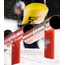 GNU Facts Snowboard 2027