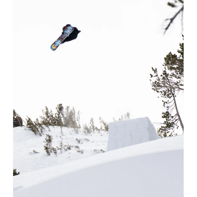 Lib Tech Dynamo Snowboard 2027