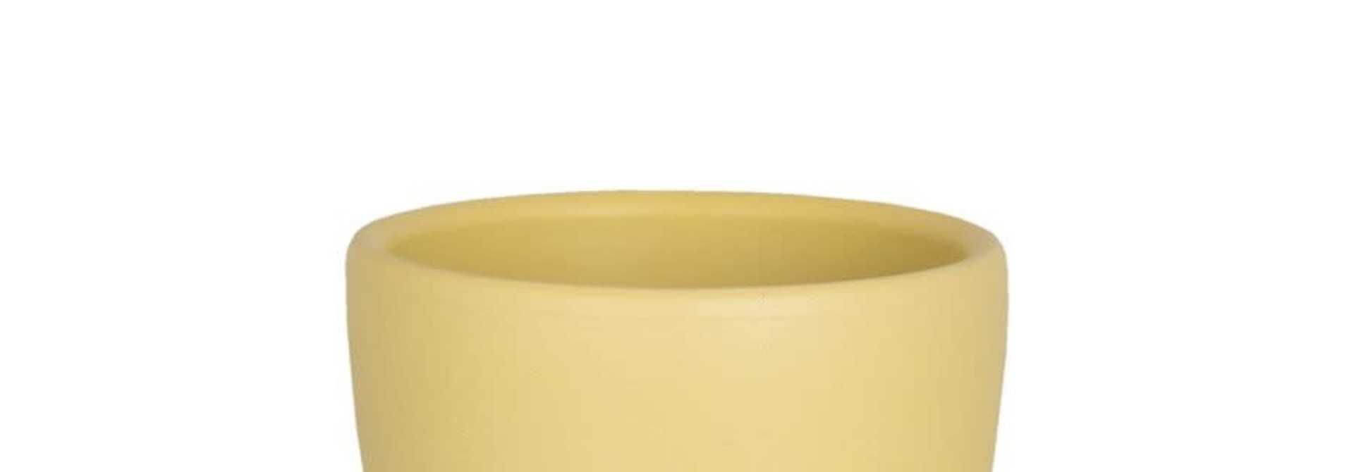 Nubia Cactus Jaune (Pot)