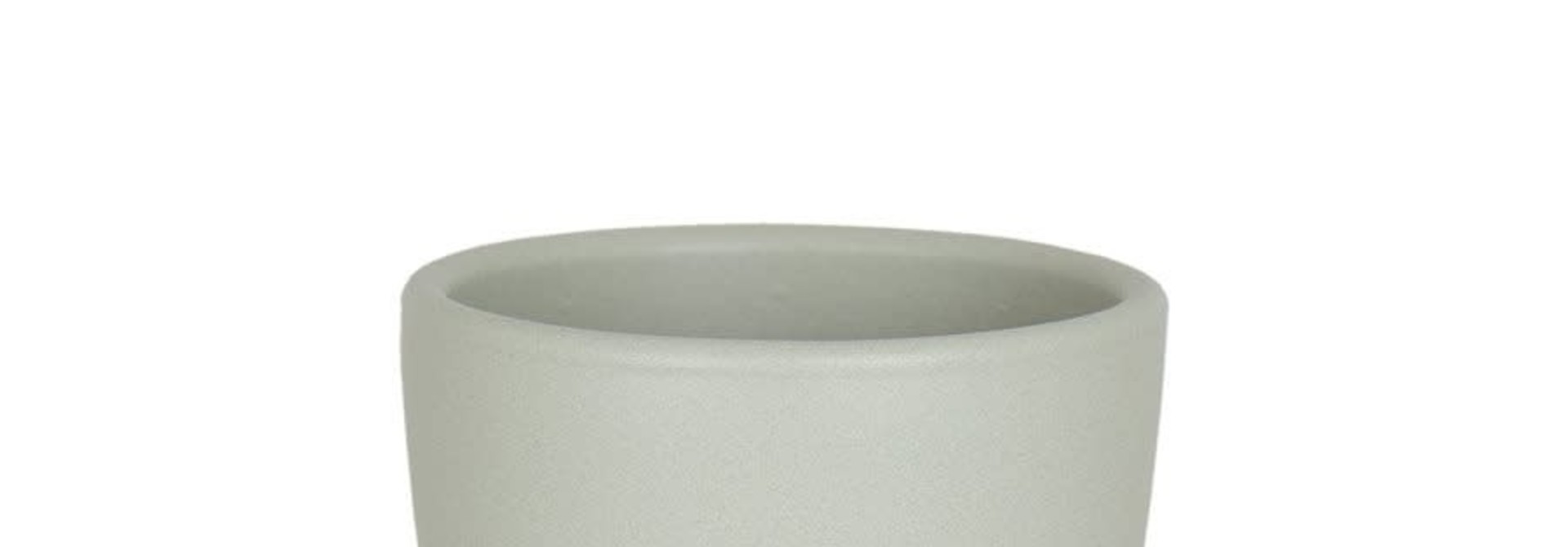 Nubia Cactus vert pâle (Pot)