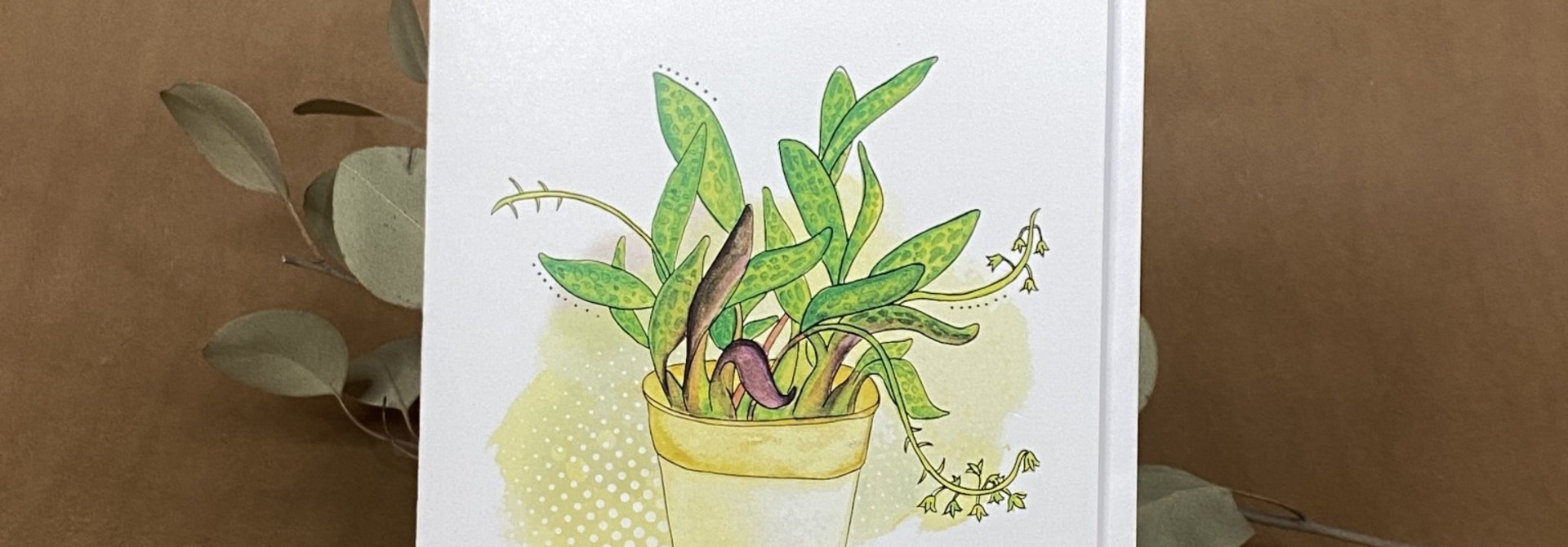 Pot plante - Carte