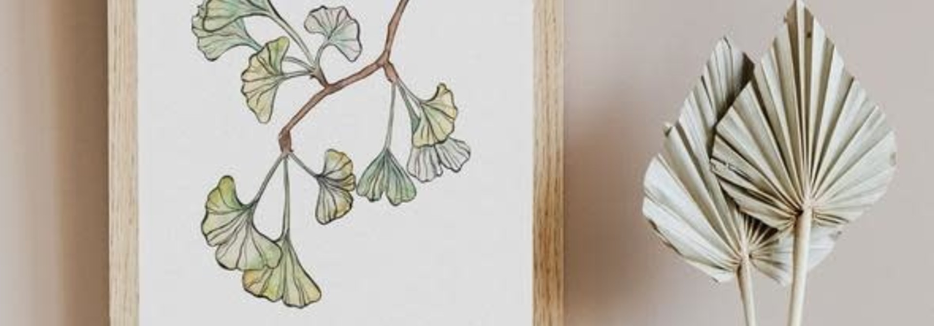 mmgi- Ginko biloba