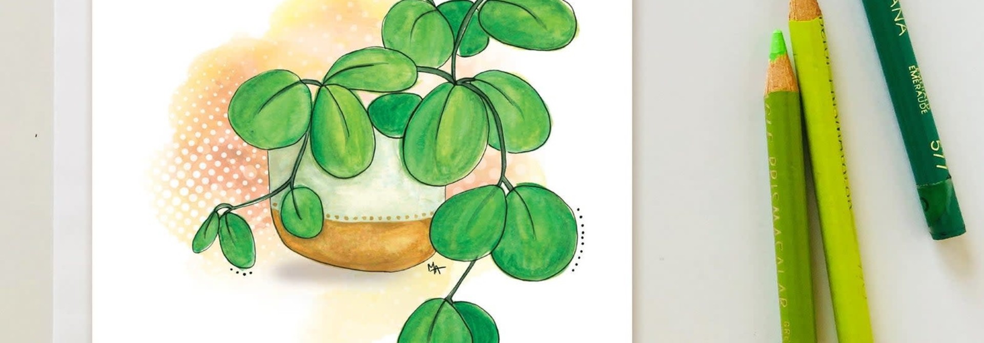 Plantes d'intérieures - Carte A1