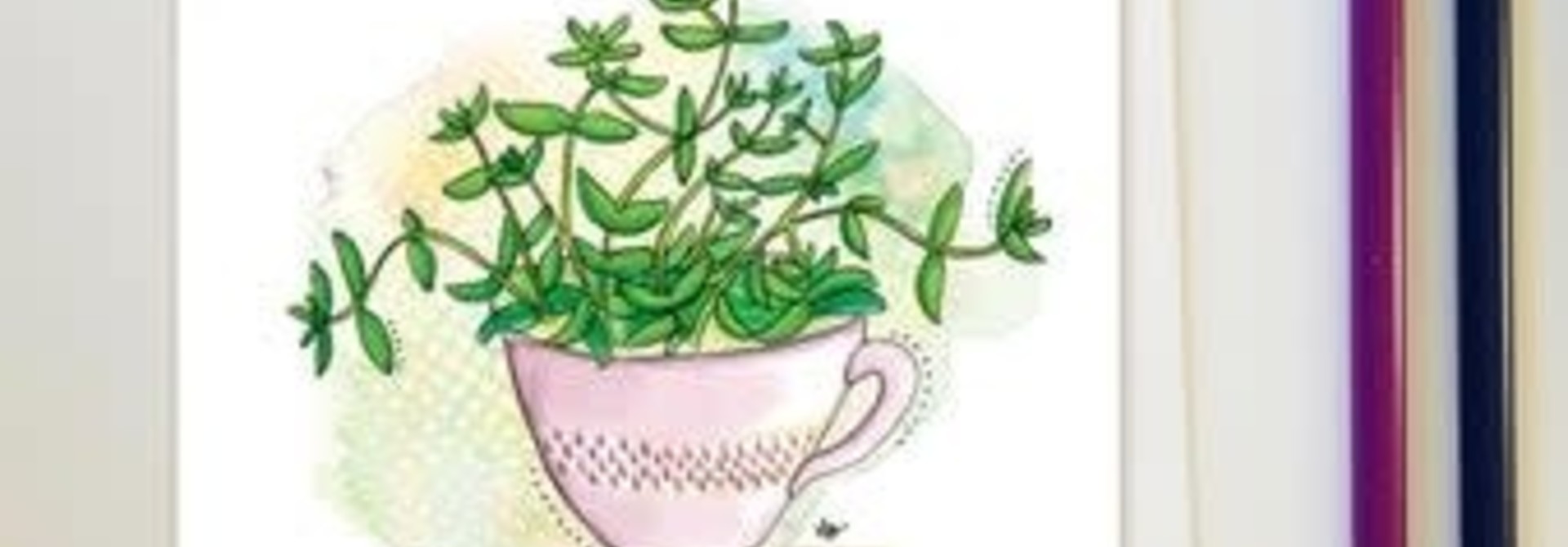 Plantes d'intérieurs tasse - Carte