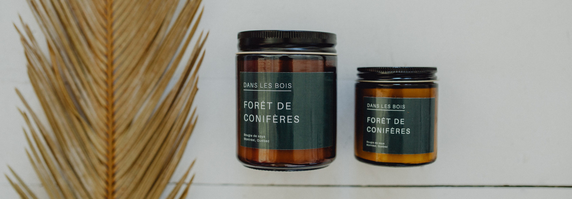 Forêt de conifères - Bougie