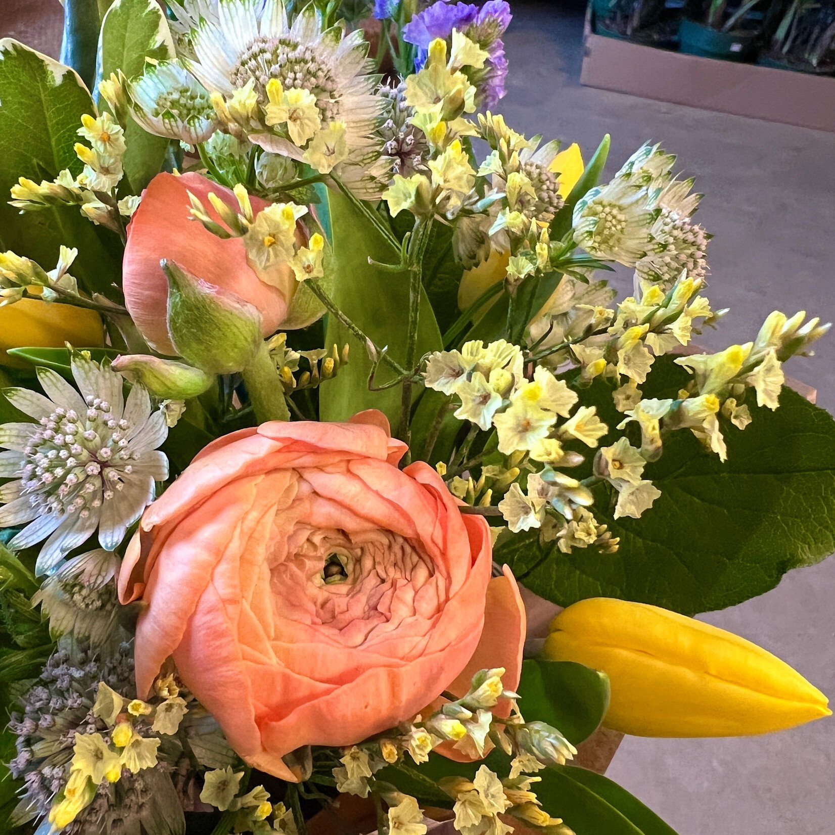 Maison Forêt Bouquet Printemps 1