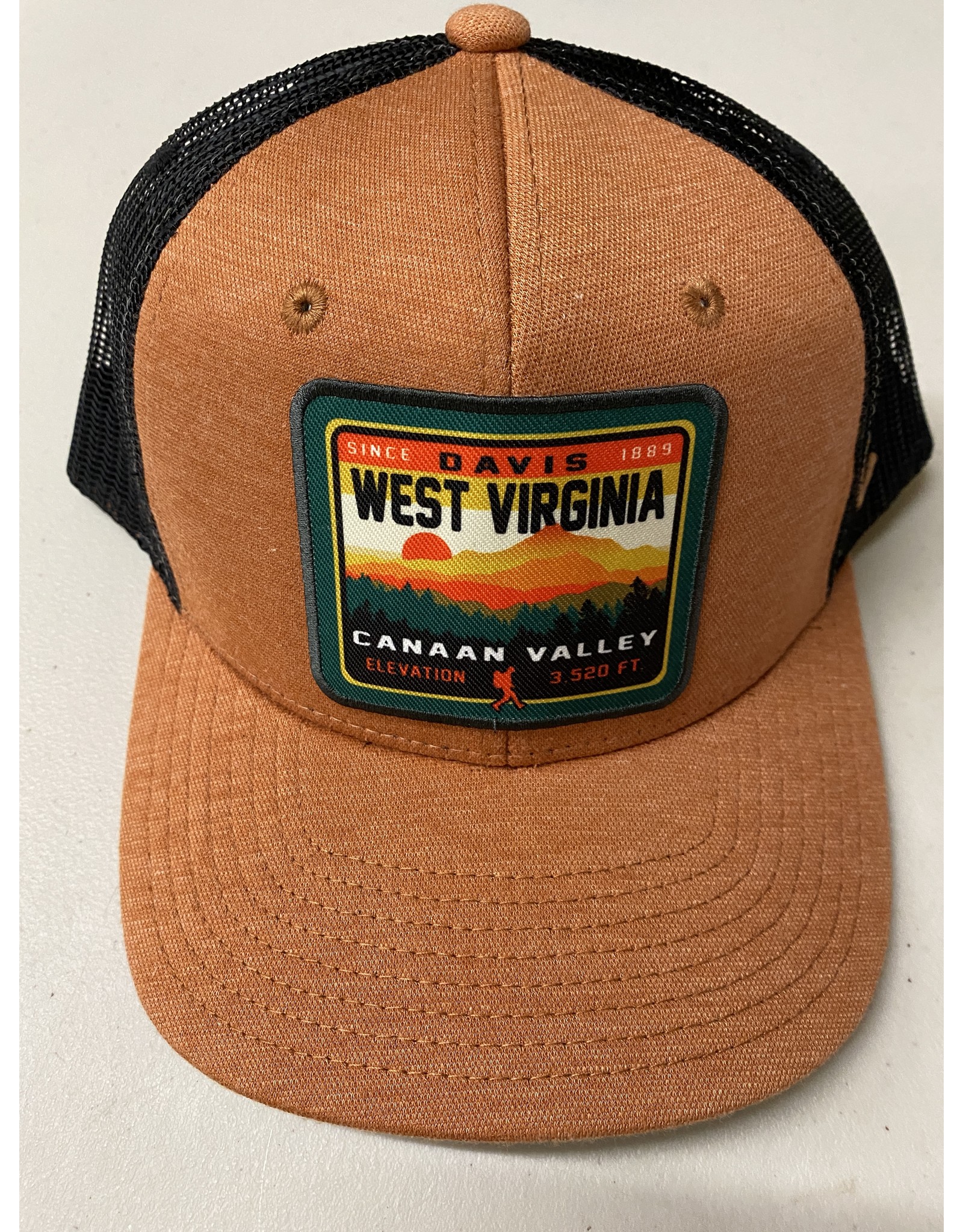 Elevation Canaan Valley Davis WV Trucker Hat Repudiate The Davis Depot