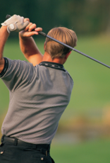 Junior Executive - Single - Junior Executive