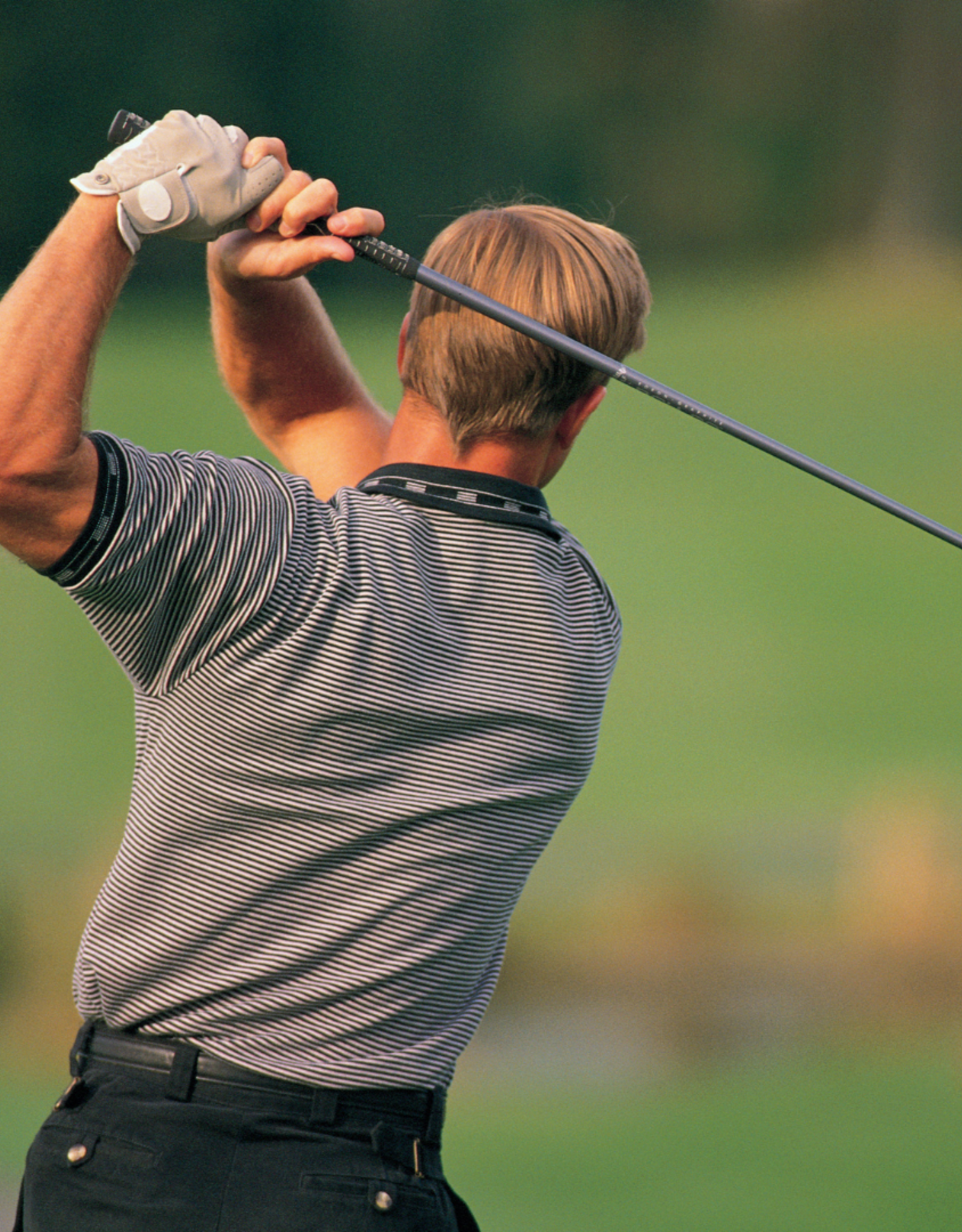 Junior Executive - Single - Junior Executive