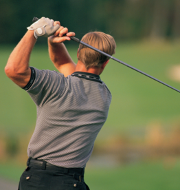 Junior Executive - Single - Junior Executive