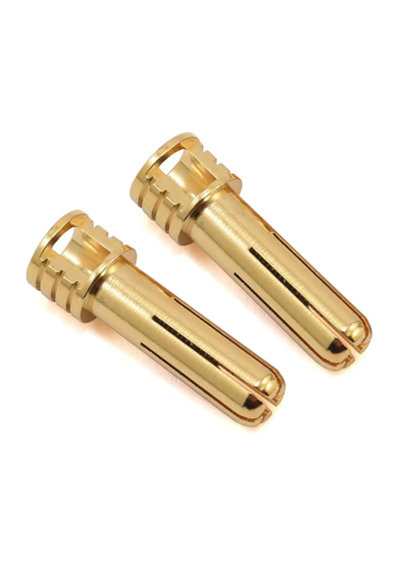 Trinity TRIREV2204 Trinity 5mm Pure Copper Gold Plated Bullet Connectors (2) Male