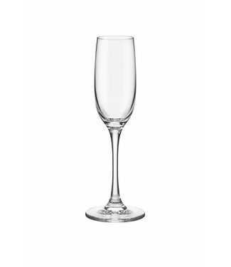 Home Essentials & Beyond Basic 7oz Champagne Flutes