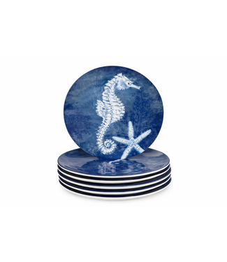Certified International Oceanic 11in Dinner Plates