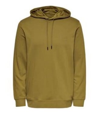 Only & Sons 22017962 ONSDARE LIFE REG HOODIE