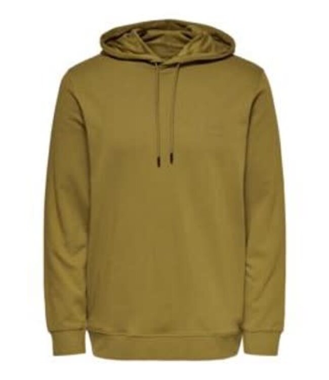 Only & Sons 22017962 ONSDARE LIFE REG HOODIE