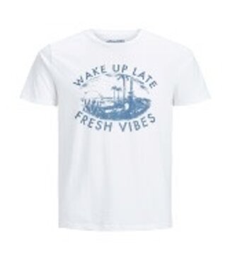 JACK & JONES 12153600 JORSUNBAKED TEE SS CREW NECK