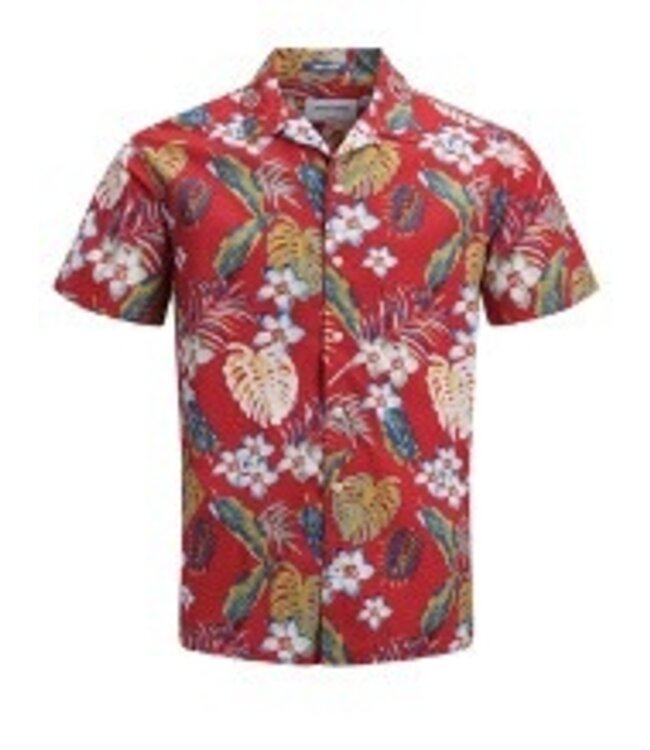 JACK & JONES 12152596 JORCOLE SHIRT SS