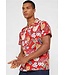 JACK & JONES 12152596 JORCOLE SHIRT SS