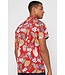 JACK & JONES 12152596 JORCOLE SHIRT SS