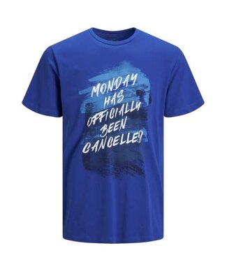 JACK & JONES 12149070 Jorinkbleed Tee ss Crew Neck