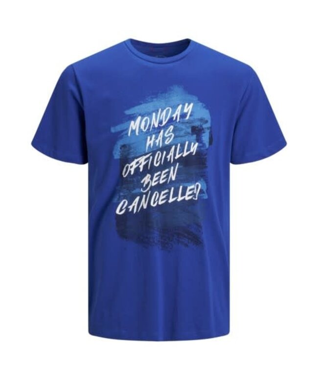 JACK & JONES 12149070 Jorinkbleed Tee ss Crew Neck