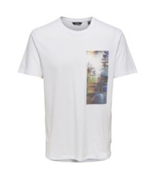 Only & Sons 22017180 ONSJONAS LIFE SS TEE