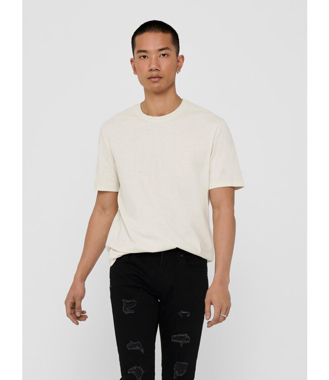 Only & Sons 22018868 ONSMILLENIUM WASHED TEE NOOS