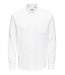 22006479 OXFORD SHIRT