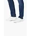34 HERITAGE 101431826 COOL ORGANIC