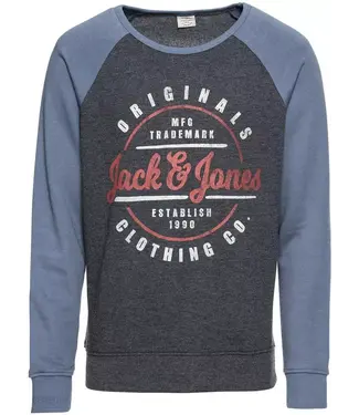 JACK & JONES Jorvinnie Raglan Sweat Crew Neck 12138332