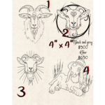 Goat Flash Tattoo (Sheet 2) with Khwezi
