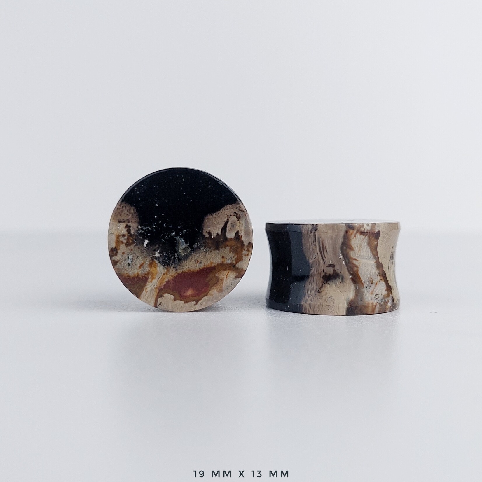 Grit Lapidary Double Flare Plugs Petrified Palm Wood (Pair)