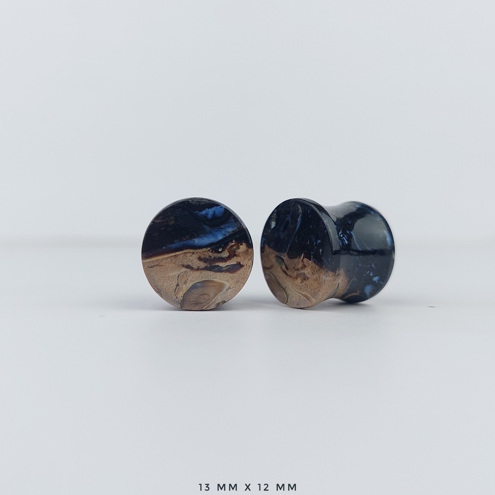 Grit Lapidary Double Flare Plugs Petrified Palm Wood (Pair)