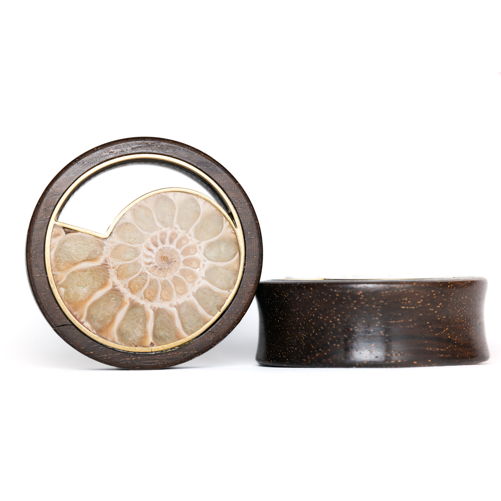Quetzalli Ammonite Double Flare Plugs 1-1/2 (pair)