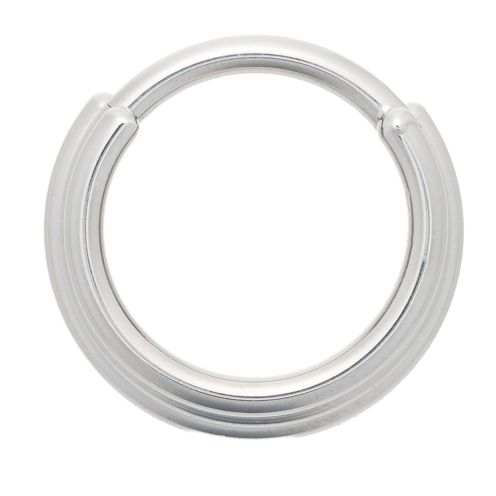 Zadamer Jewelry 16g 3/8" Ti Triple Hinged Rings