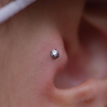 Tragus