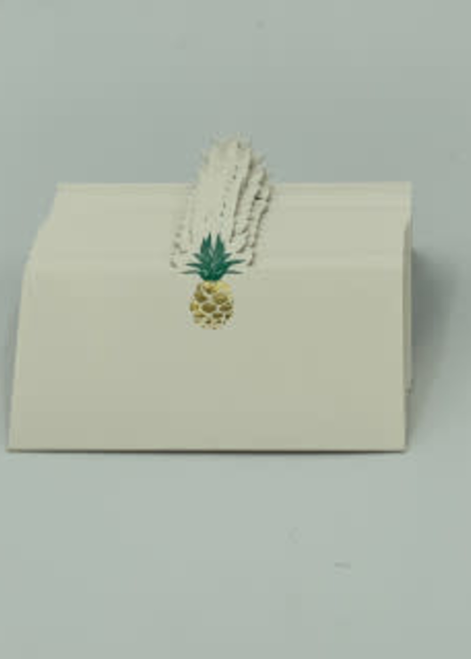 Place Cards 12 Pack