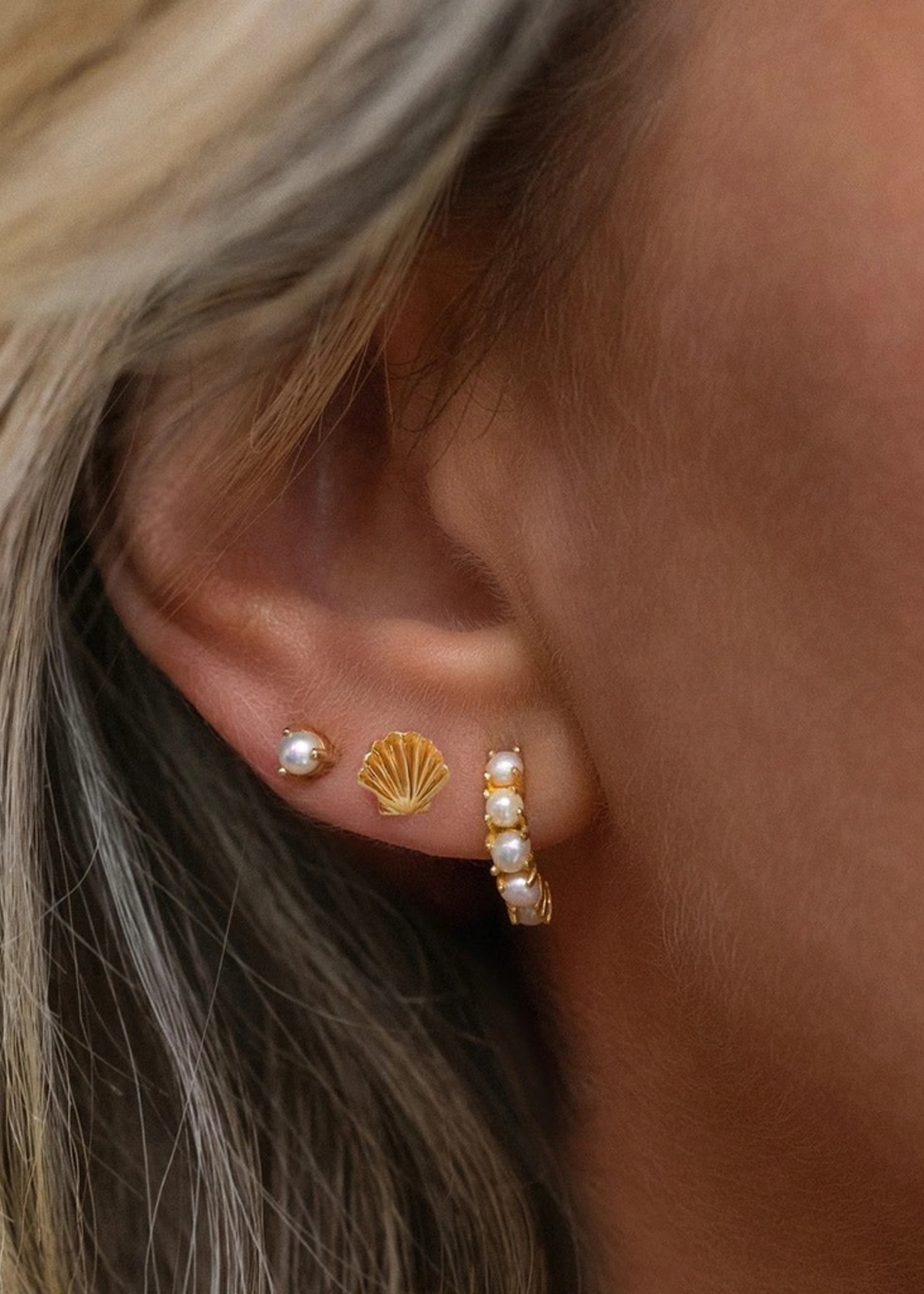 Leah Alexandra Coquille Studs