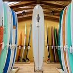 Walden Surfboards 9'6  Walden Magic Model