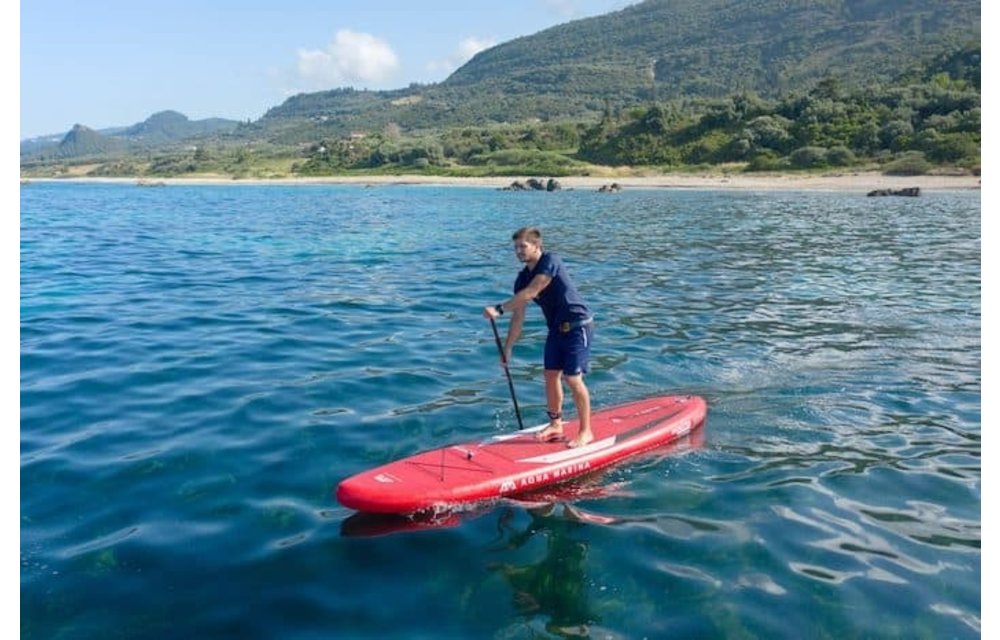 AQUA MARINA / MONSTER 12'X33''