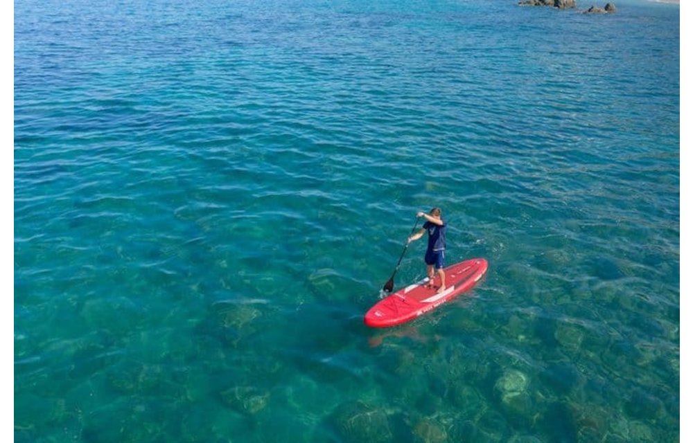 AQUA MARINA / MONSTER 12' X 33''