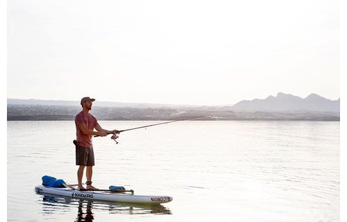 BOARDWORKS / RAVEN 12'6'' X 29'' EPX-V