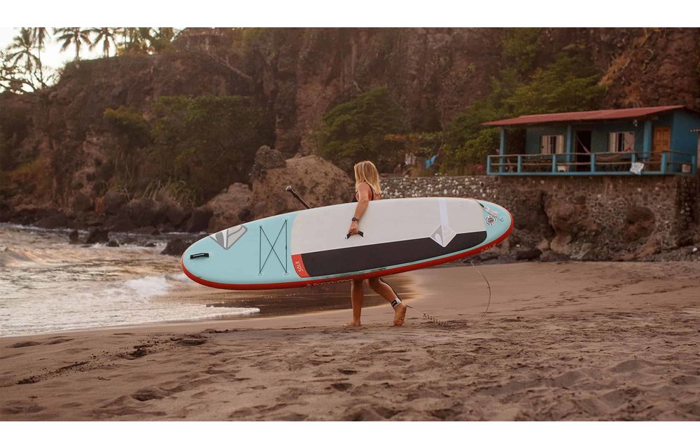 BOARDWORKS / SHUBU SŌLR 10'6 X 32''