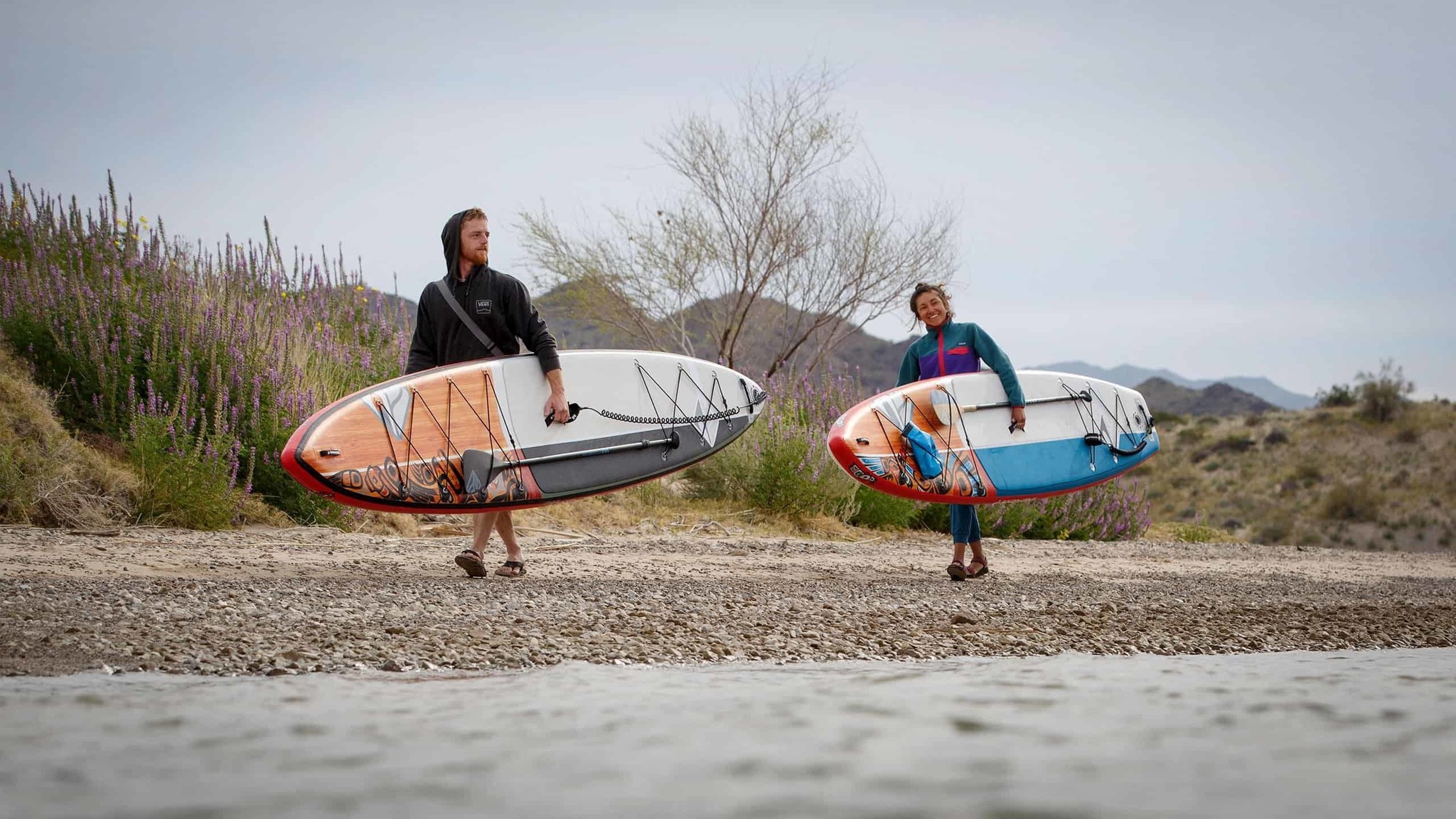 BOARDWORKS / SHUBU GREAT BEAR 14' X 32''