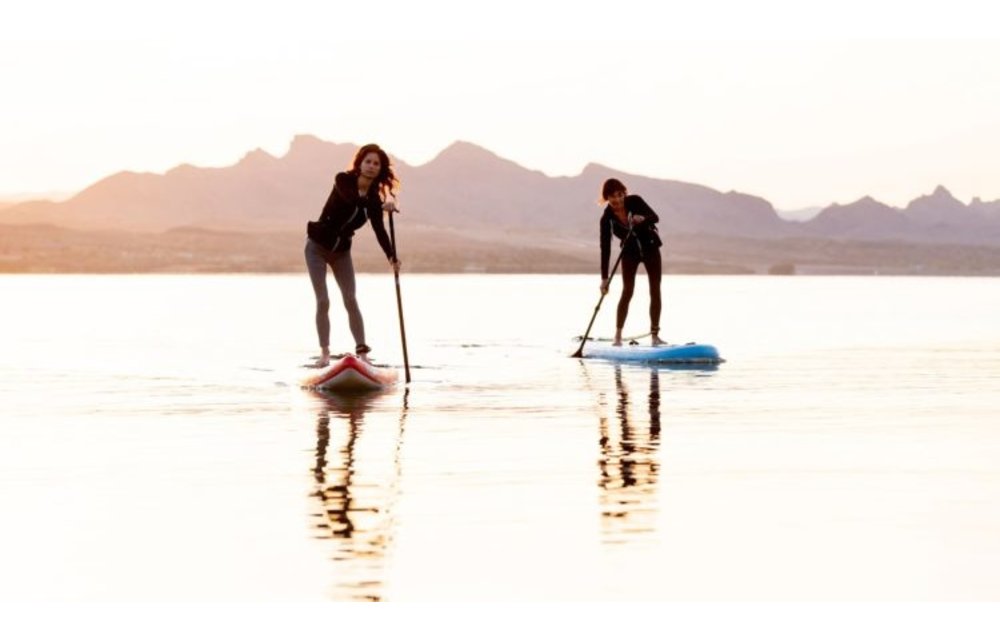 BOARDWORKS / SHUBU RAVEN 12'6" X 30''