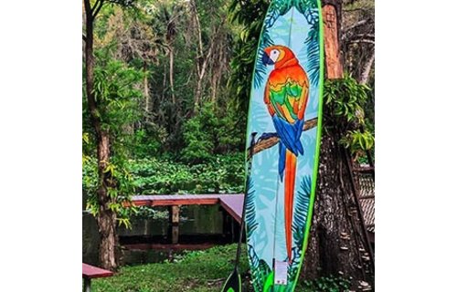 PULSE / THE PETEY 11'4" X 31,5''