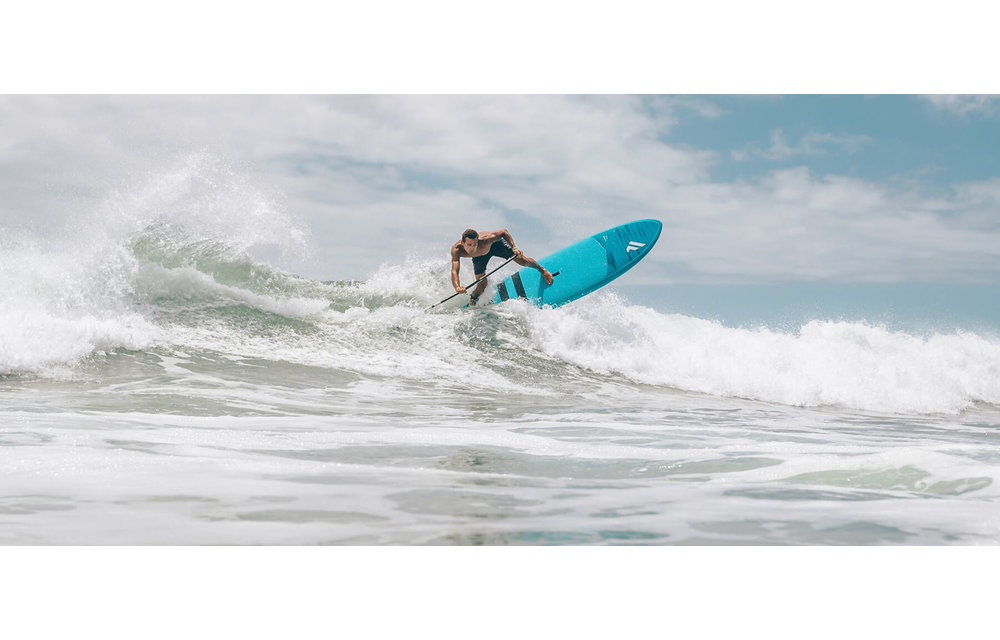 FANATIC / ALLWAVE 8'8"