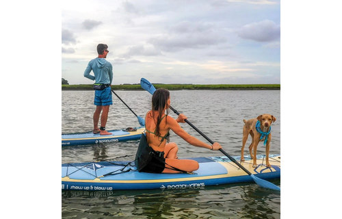 BOARDWORKS / SHUBU KANALOA 10.4 / BLUE / KIT