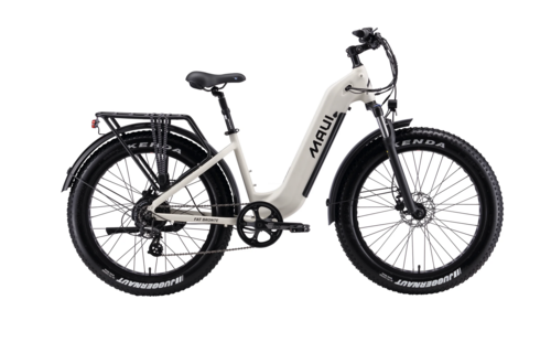 VELO FATBIKE ELECTRIQUE BRONTE 500W